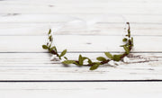 Handcrafted White and Green Simple Crown